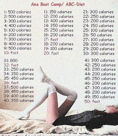 50 Day Diet Ana